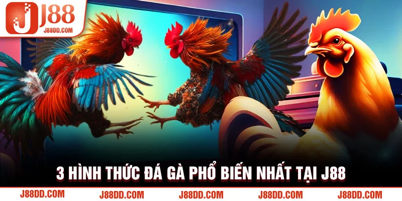 3 hình thức đá gà phổ biến nhất tại J88