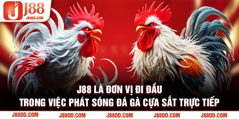 J88 phát sóng đá gà trực tiếp