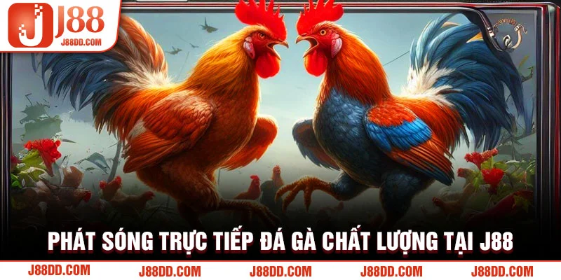 Phát sóng trực tiếp đá gà chất lượng tại J88